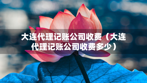 大連代理記賬公司收費(fèi)（大連代理記賬公司收費(fèi)多少）