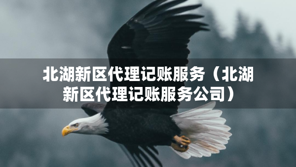 北湖新區(qū)代理記賬服務(wù)（北湖新區(qū)代理記賬服務(wù)公司）