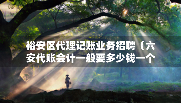 裕安區(qū)代理記賬業(yè)務(wù)招聘（六安代賬會計一般要多少錢一個月）