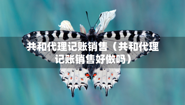 共和代理記賬銷售（共和代理記賬銷售好做嗎）