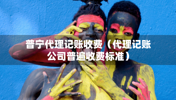 普寧代理記賬收費(fèi)（代理記賬公司普遍收費(fèi)標(biāo)準(zhǔn)）