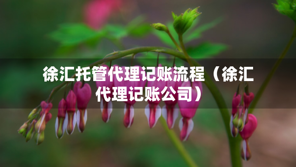 徐匯托管代理記賬流程（徐匯代理記賬公司）