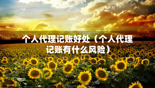 個人代理記賬好處（個人代理記賬有什么風險）