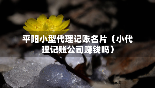 平陽(yáng)小型代理記賬名片（小代理記賬公司賺錢嗎）