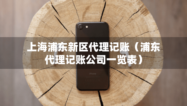 上海浦東新區(qū)代理記賬(浦東代理記賬公司一覽表) 上海浦東新區(qū)代理記賬(浦東代理記賬公司一覽表)