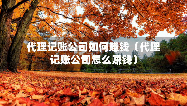 代理記賬公司如何賺錢（代理記賬公司怎么賺錢）