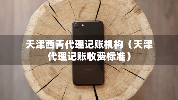 天津西青代理記賬機構(gòu)（天津代理記賬收費標準）
