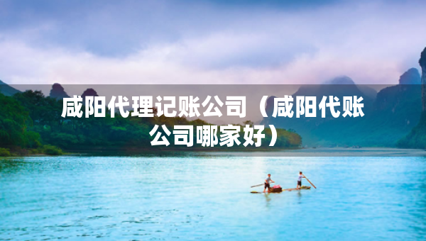 咸陽代理記賬公司（咸陽代賬公司哪家好）