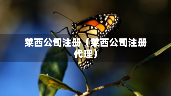 萊西公司注冊(cè)（萊西公司注冊(cè)代理）