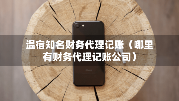 溫宿知名財(cái)務(wù)代理記賬（哪里有財(cái)務(wù)代理記賬公司）