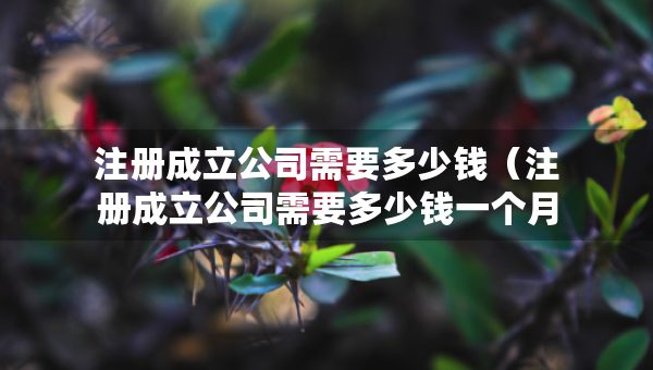 注冊成立公司需要多少錢(注冊成立公司需要多少錢一個月) 注冊成立公司需要多少錢(注冊成立公司需要多少錢一個月)