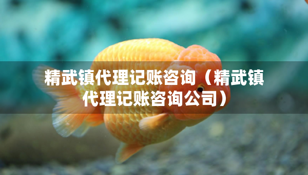 精武鎮(zhèn)代理記賬咨詢(精武鎮(zhèn)代理記賬咨詢公司) 精武鎮(zhèn)代理記賬咨詢(精武鎮(zhèn)代理記賬咨詢公司)