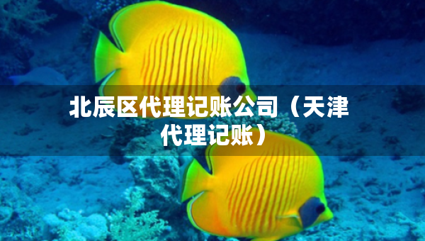 北辰區(qū)代理記賬公司（天津 代理記賬）