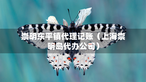 崇明東平鎮(zhèn)代理記賬（上海崇明島代辦公司）