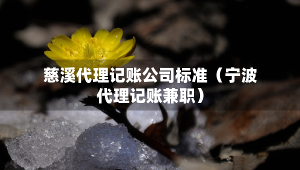 慈溪代理記賬公司標準（寧波代理記賬兼職）