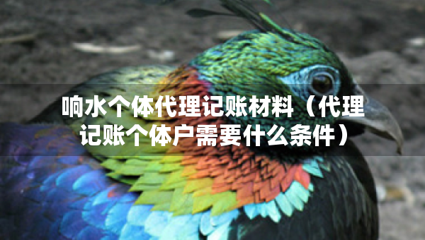 響水個(gè)體代理記賬材料（代理記賬個(gè)體戶需要什么條件）