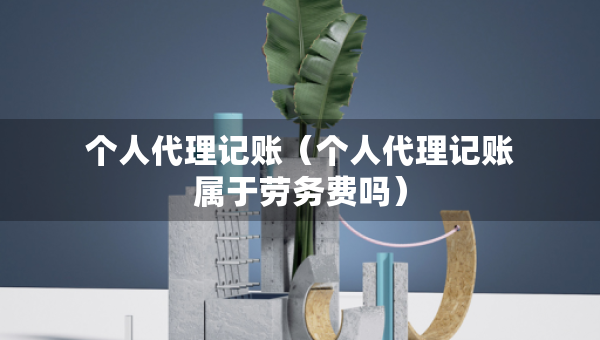 個(gè)人代理記賬（個(gè)人代理記賬屬于勞務(wù)費(fèi)嗎）