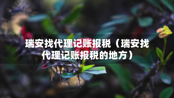 瑞安找代理記賬報(bào)稅（瑞安找代理記賬報(bào)稅的地方）