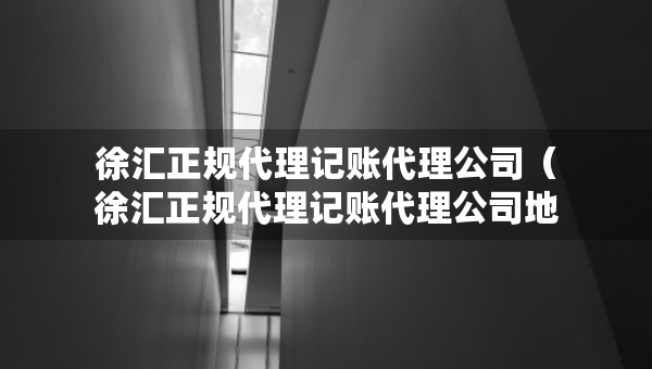 徐匯正規(guī)代理記賬代理公司（徐匯正規(guī)代理記賬代理公司地址）