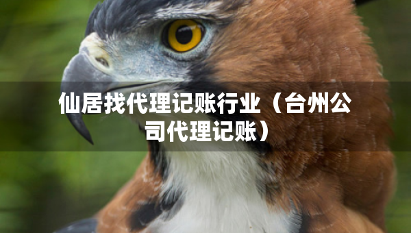仙居找代理記賬行業(yè)（臺州公司代理記賬）