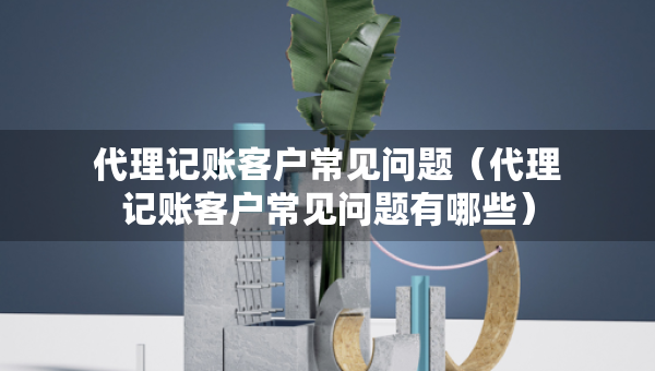 代理記賬客戶常見問題（代理記賬客戶常見問題有哪些）
