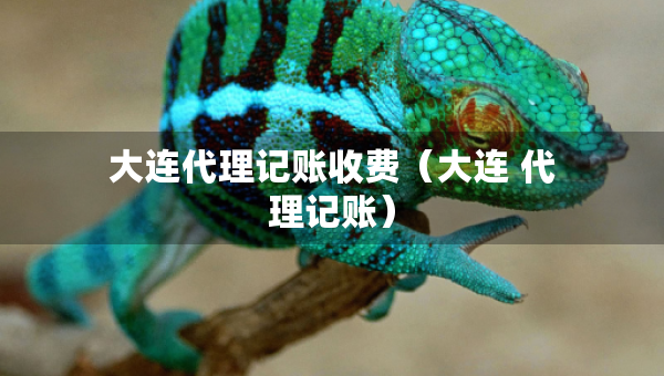 大連代理記賬收費(fèi)（大連 代理記賬）
