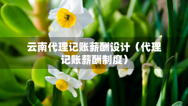 云南代理記賬薪酬設(shè)計（代理記賬薪酬制度）