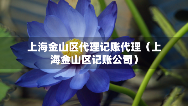上海金山區(qū)代理記賬代理（上海金山區(qū)記賬公司）