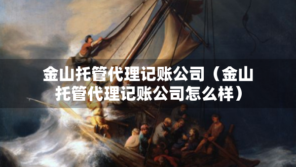 金山托管代理記賬公司（金山托管代理記賬公司怎么樣）