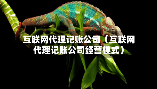 互聯(lián)網(wǎng)代理記賬公司(互聯(lián)網(wǎng)代理記賬公司經(jīng)營(yíng)模式) 互聯(lián)網(wǎng)代理記賬公司(互聯(lián)網(wǎng)代理記賬公司經(jīng)營(yíng)模式)