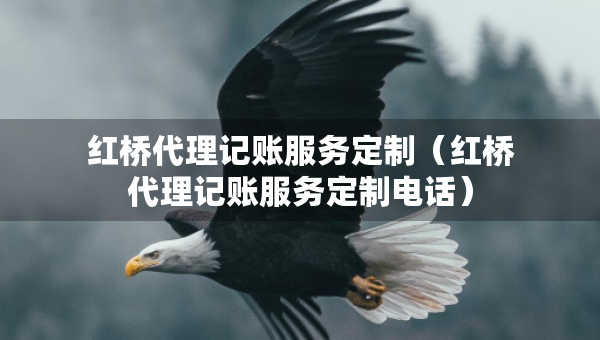 紅橋代理記賬服務(wù)定制（紅橋代理記賬服務(wù)定制電話）