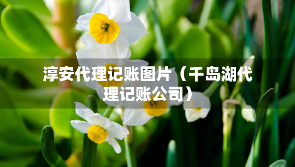淳安代理記賬圖片（千島湖代理記賬公司）