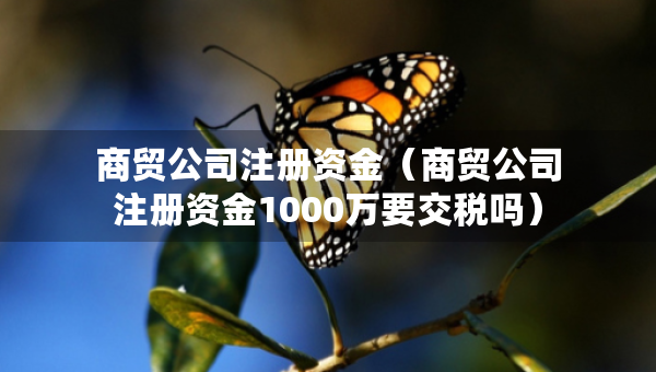 商貿(mào)公司注冊資金（商貿(mào)公司注冊資金1000萬要交稅嗎）
