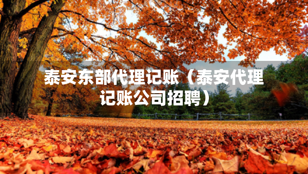 泰安東部代理記賬（泰安代理記賬公司招聘）