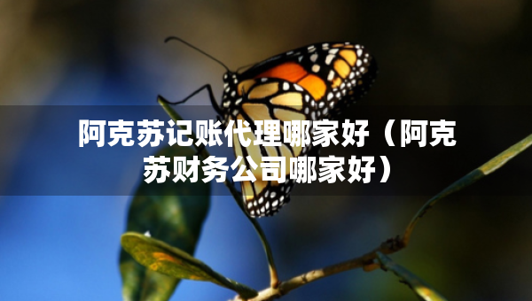 阿克蘇記賬代理哪家好（阿克蘇財務公司哪家好）