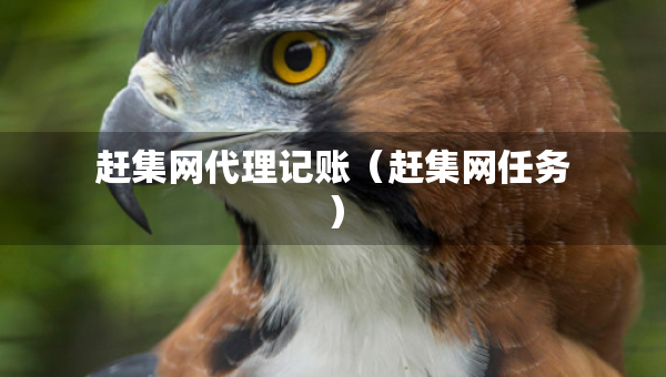 趕集網(wǎng)代理記賬（趕集網(wǎng)任務(wù)）