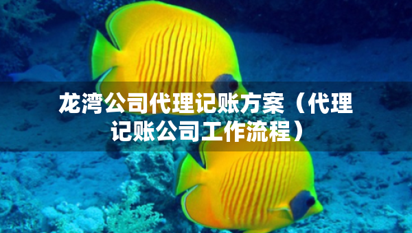 龍灣公司代理記賬方案（代理記賬公司工作流程）