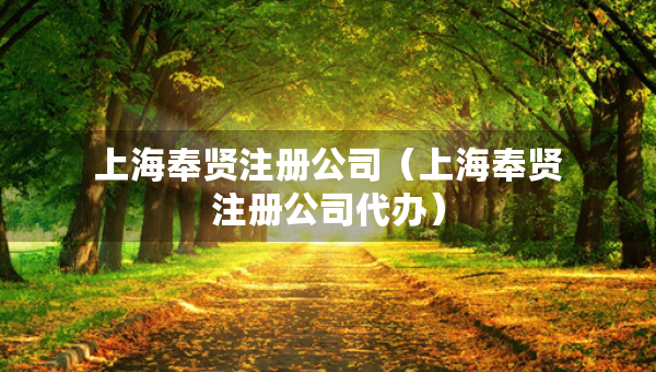 上海奉賢注冊(cè)公司（上海奉賢注冊(cè)公司代辦）