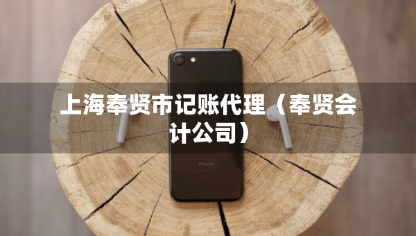 上海奉賢市記賬代理（奉賢會計公司）