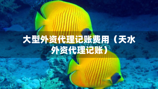 大型外資代理記賬費用（天水外資代理記賬）