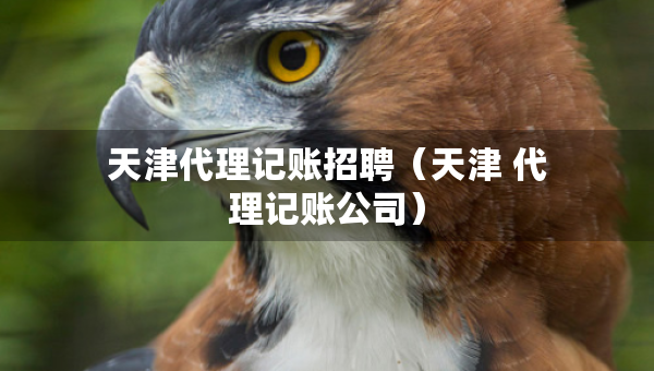 天津代理記賬招聘（天津 代理記賬公司）