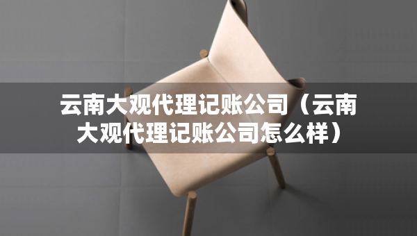 云南大觀代理記賬公司（云南大觀代理記賬公司怎么樣）