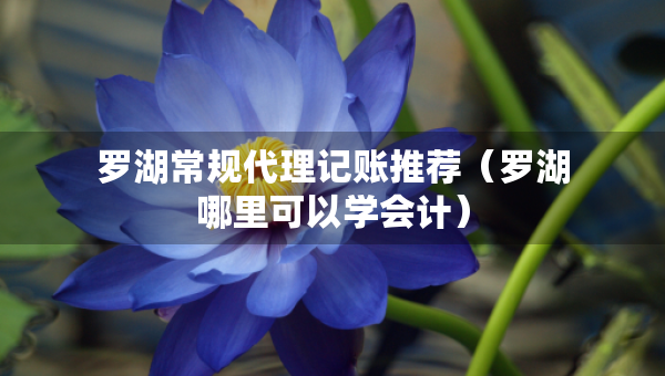 羅湖常規(guī)代理記賬推薦（羅湖哪里可以學(xué)會計）