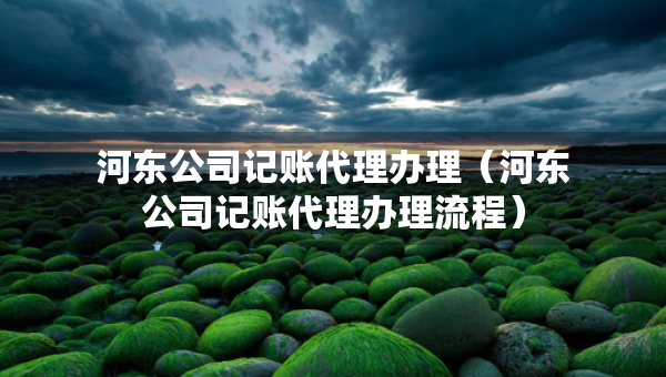 河東公司記賬代理辦理（河東公司記賬代理辦理流程）