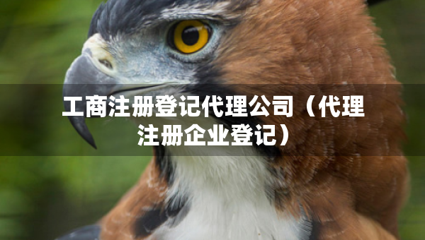 工商注冊登記代理公司（代理注冊企業(yè)登記）