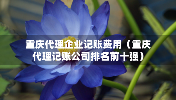 重慶代理企業(yè)記賬費(fèi)用（重慶代理記賬公司排名前十強(qiáng)）