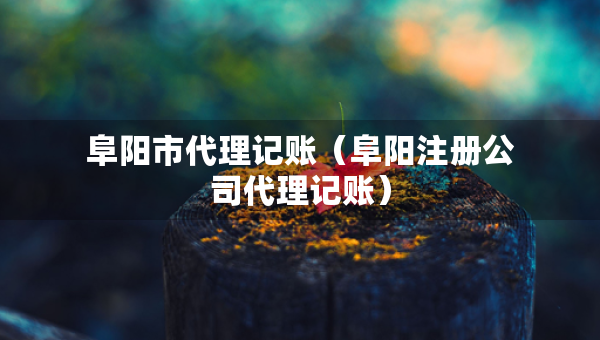阜陽市代理記賬（阜陽注冊公司代理記賬）