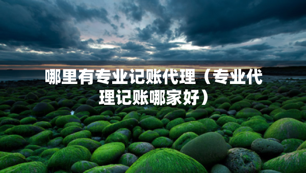 哪里有專業(yè)記賬代理（專業(yè)代理記賬哪家好）