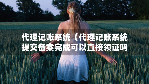 代理記賬系統(tǒng)（代理記賬系統(tǒng)提交備案完成可以直接領(lǐng)證嗎）