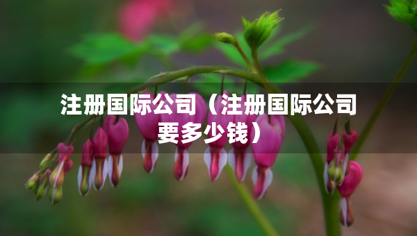 注冊(cè)國際公司（注冊(cè)國際公司要多少錢）